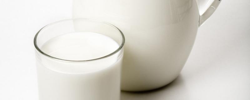 纯牛奶不能和什么一起吃