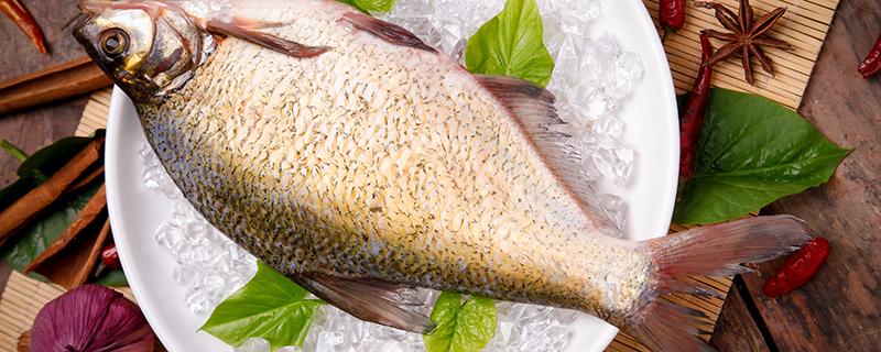 鳊鱼的功效与作用 鳊鱼的营养价值