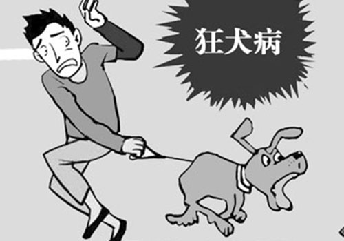 狂犬病的预防措施 狂犬病的预防措施有哪些