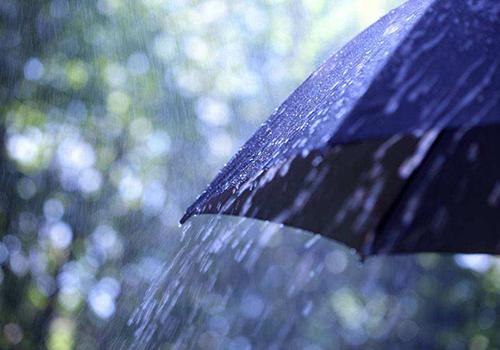 雨水节气会下雨吗 雨水节气会不会下雨