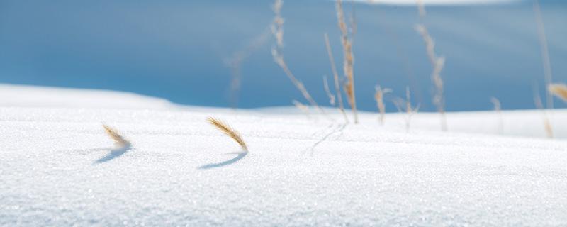 大雪节气是哪天（大雪节气是哪天惊蛰春风清明谷雨立夏相买温度）