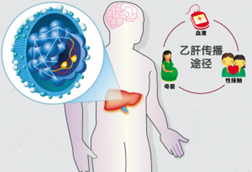 乙肝病毒携带者能生孩子吗（乙肝病毒携带者可以生小孩吗）