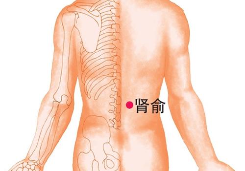 腰椎间盘突出拔罐位置图（腰间盘突出拔罐的位置）