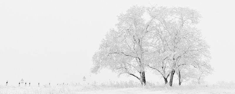 小雪是几月几日2018年 2018年小雪是几月几号