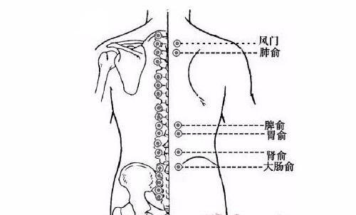 秋冬拔火罐（秋天拔火罐）