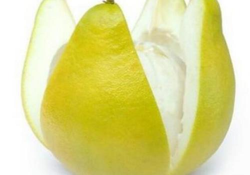 柚子皮有什么作用（柚子皮有什么作用和功效?）