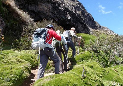 如何登山省力又健康 登山省力又快速的方法