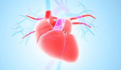 心脏衰竭前期症状 4个前兆要警惕