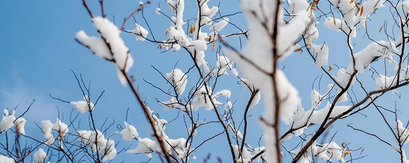 小雪节气的民俗（小雪节气的民俗吃什么）