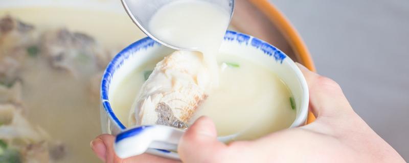 鱼头豆腐汤选哪种鱼头 鱼头豆腐汤选哪种鱼头最好