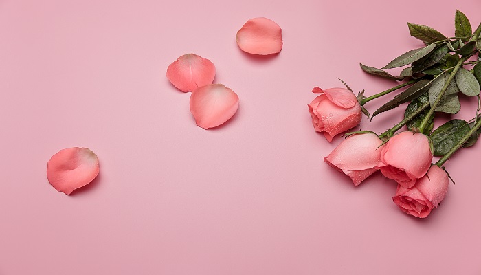 粉玫瑰的花语 粉玫瑰的花语是