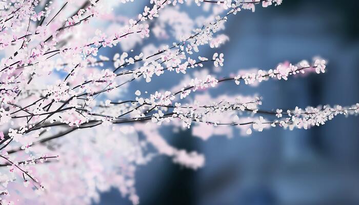 春城无处不飞花的春城 春城无处不飞花的意思