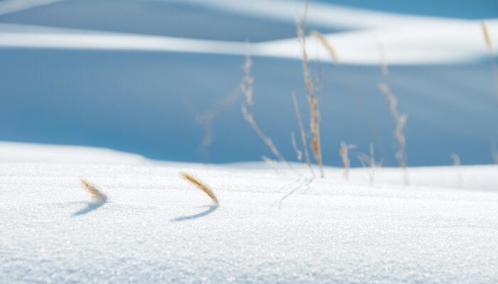 沁园春雪赏析 沁园春雪意境赏析