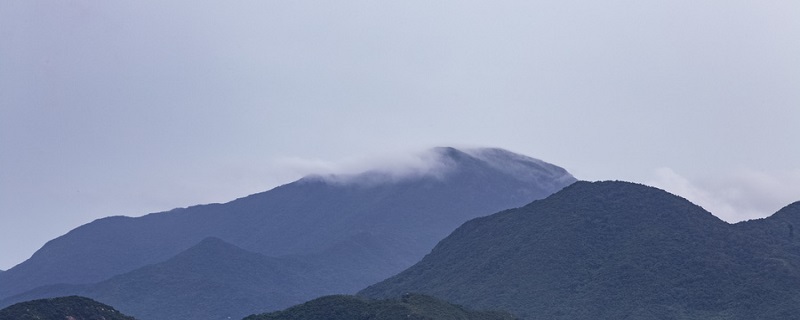 蝴蝶过山门轻舟过重山什么寓意 轻舟已过重山的前一句是什么