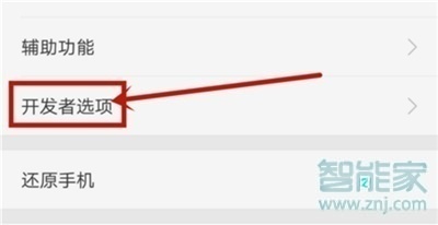 oppo reno怎么打开开发者选项