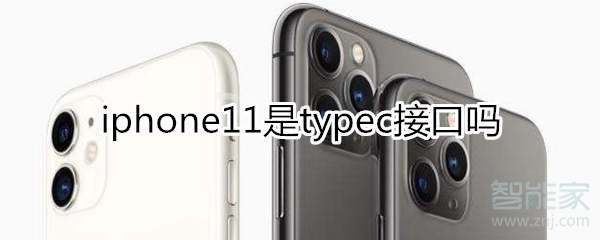 iphone11是typec接口吗