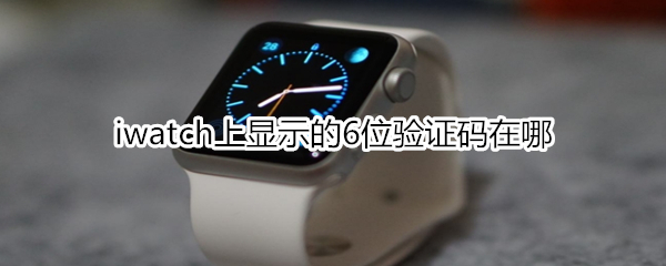 iwatch上显示的6位验证码在哪