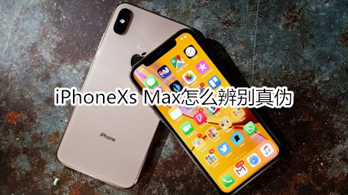 iPhoneXs Max怎么辨别真伪