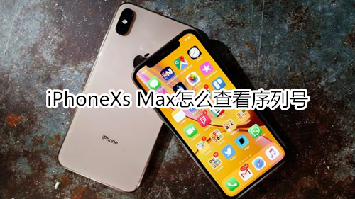 iPhoneXs Max怎么查看序列号