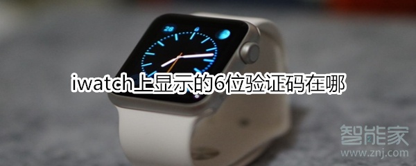 iwatch上显示的6位验证码在哪