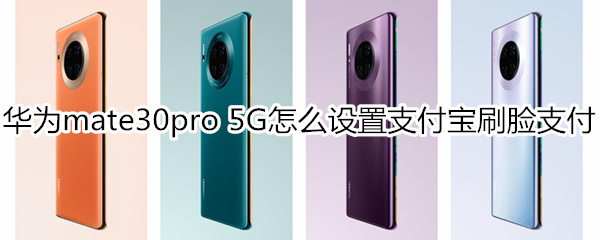 华为mate30pro 5G版怎么设置支付宝刷脸支付