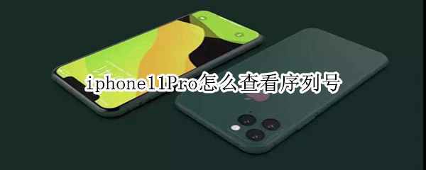 iphone11Pro怎么查看序列号