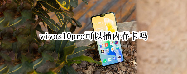 vivos10pro可以插内存卡吗