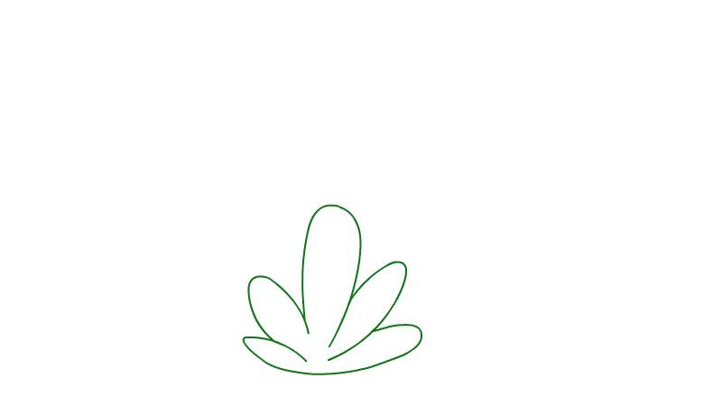 植物简笔画的步骤  植物简笔画的画法