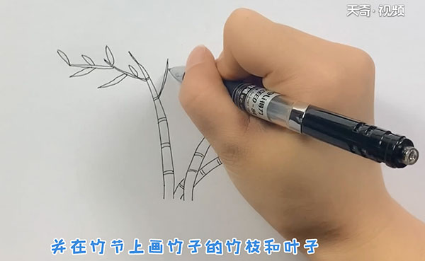 竹子的简笔画