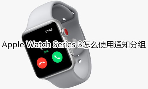 Apple Watch Series 3怎么使用通知分组