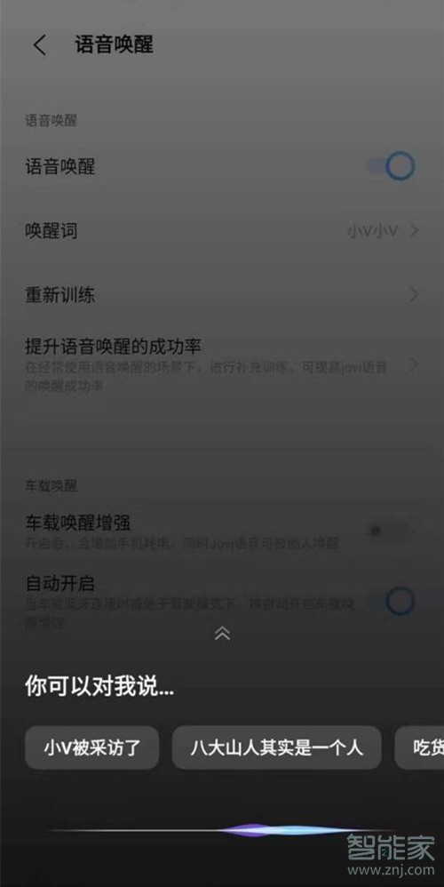 vivos12语音助手在哪里