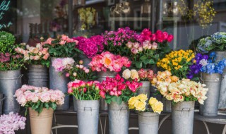 鲜花插花技巧 鲜花插花的5个技巧