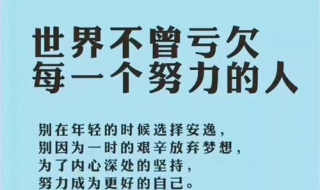 感悟人生的经典句子你知道吗？有哪些呢？