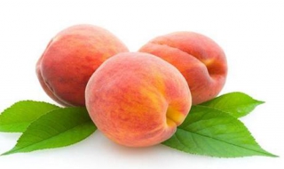 桃子的营养价值 六种好处吃出来
