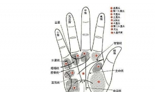 教你如何轻松看懂手相 有几种类型呢？