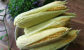 玉米怎么保存长期不坏 怎么保鲜呢