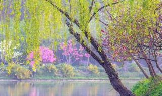 赏析山重水复疑无路柳暗花明又一村 山重水复疑无路柳暗花明又一村原文及翻译