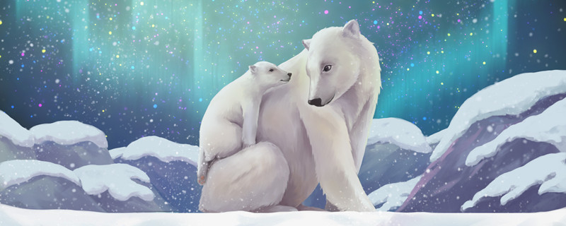北极熊在南极还是北极 北极熊在南极还是北极生活 