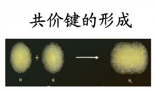 什么是共价化合物 共价化合物的解释