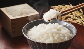 剩米饭的保存技巧 存放剩米饭的方法