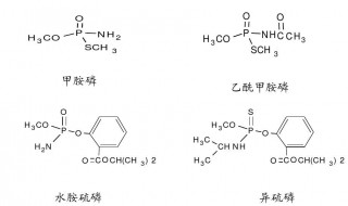 请问乙酰胆碱的作用是什么 乙酰胆碱的作用介绍