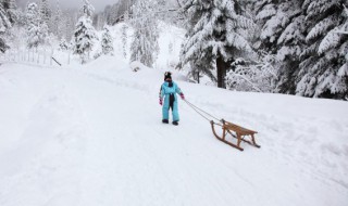 滑雪平衡训练方法 滑雪训练之平衡球的辅助训练技巧