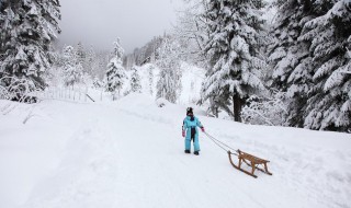 怎样拍雪景 怎么拍出来的雪景更加好看