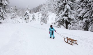 瑞雪兆丰年下雪对农事的好处有哪些 瑞雪兆丰年下雪对农事的好处罗列