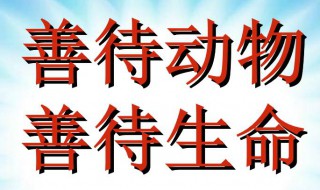 关于保护动物的标语有哪些 爱护动物的标语精选