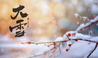 大雪节气吃什么好 大雪节气吃什么好处