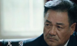 巡回检察组袁宏伟扮演者（巡回检察组袁宏伟扮演者叫什么）