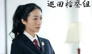 巡回检察组演员表介绍（巡回检察组演员表介绍表）