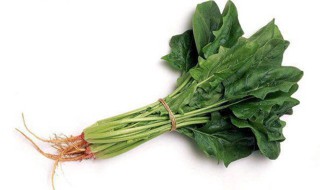菠菜营养价值 菠菜的营养价值和功效与禁忌
