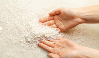 大米和粳米有什么区别（大米和粳米的区别是什么）